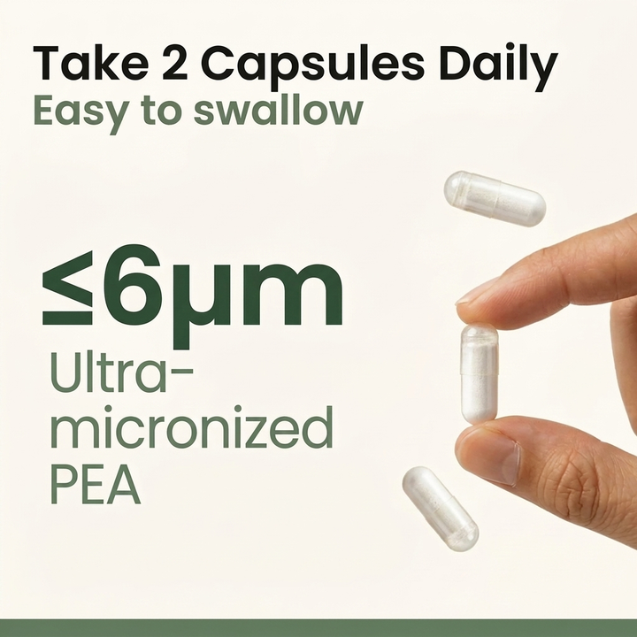 Levara Ultra-Micronized PEA M6